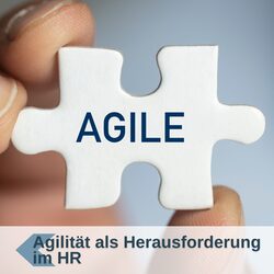 schulung_agile__2000x2000_250x250.jpg